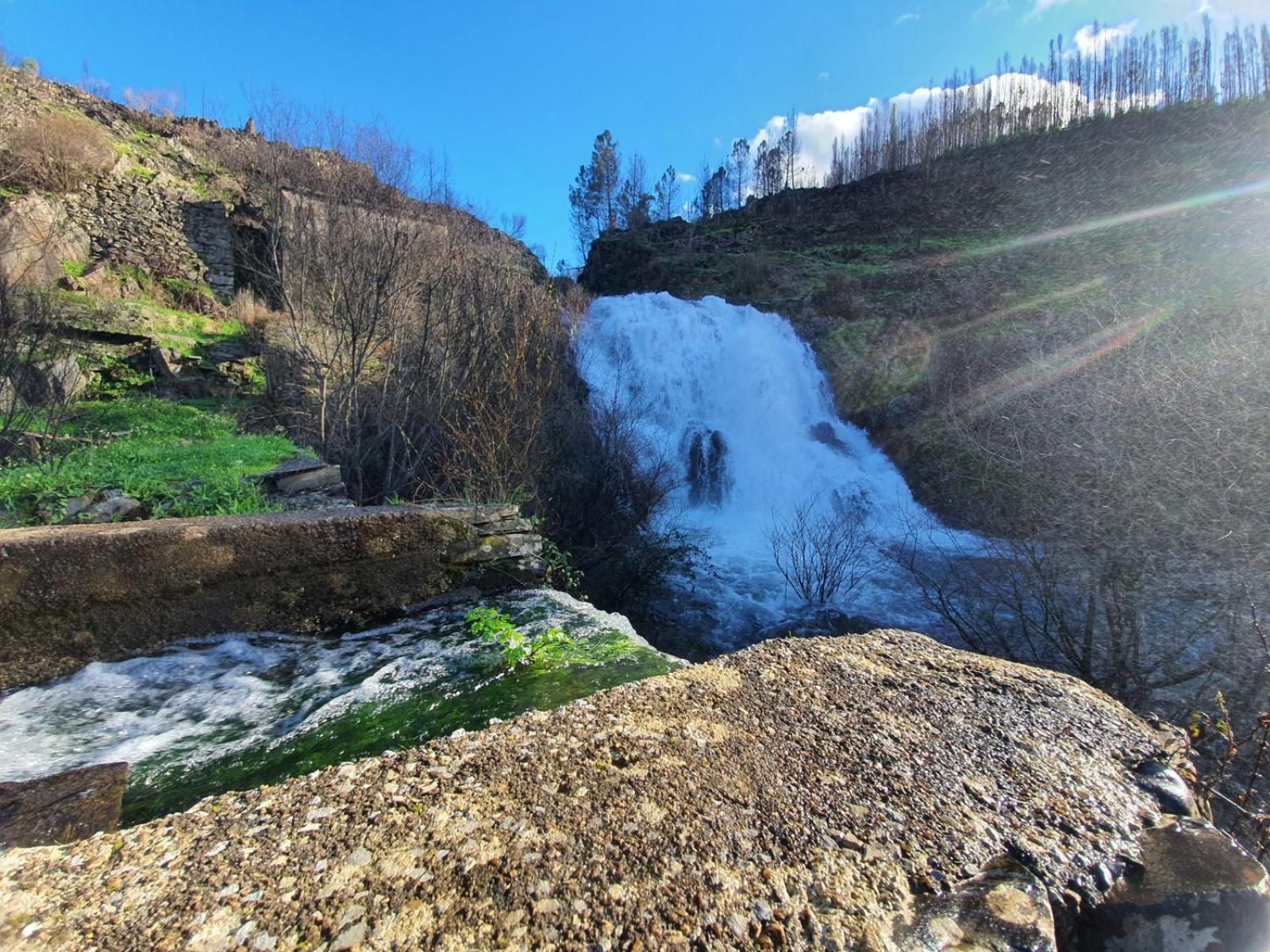 Quinta Dos Avos Lourenco Sertã Esterno foto
